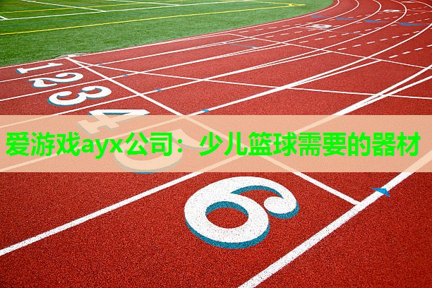 爱游戏ayx公司：少儿篮球需要的器材