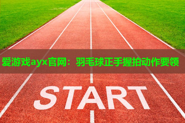 爱游戏ayx官网：羽毛球正手握拍动作要领