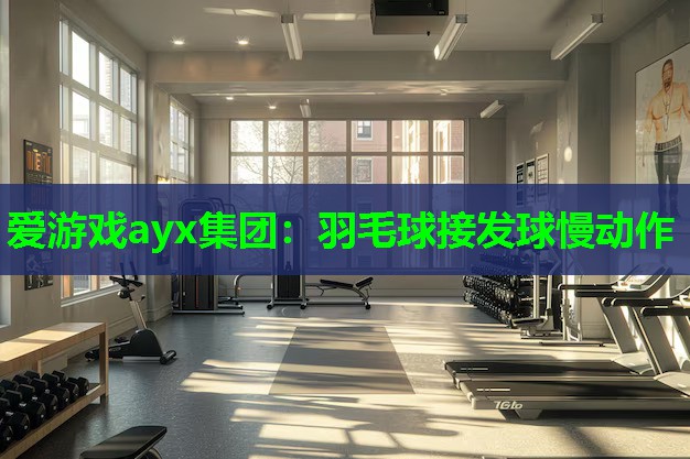 爱游戏ayx集团：羽毛球接发球慢动作